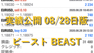 ビースト BEAST FX自動売買ツール 実績公開 08/28日版 日利4%!!月利80!?